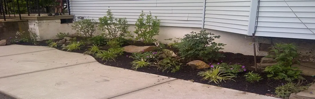 Driveway Native plant bed.jpg